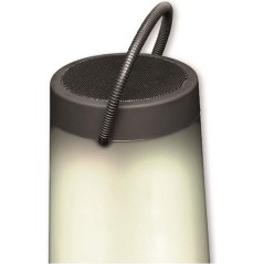 DENVER BTL-311 Bluetooth Speaker - Powerful Sound & Sleek Black Design - Order Now!